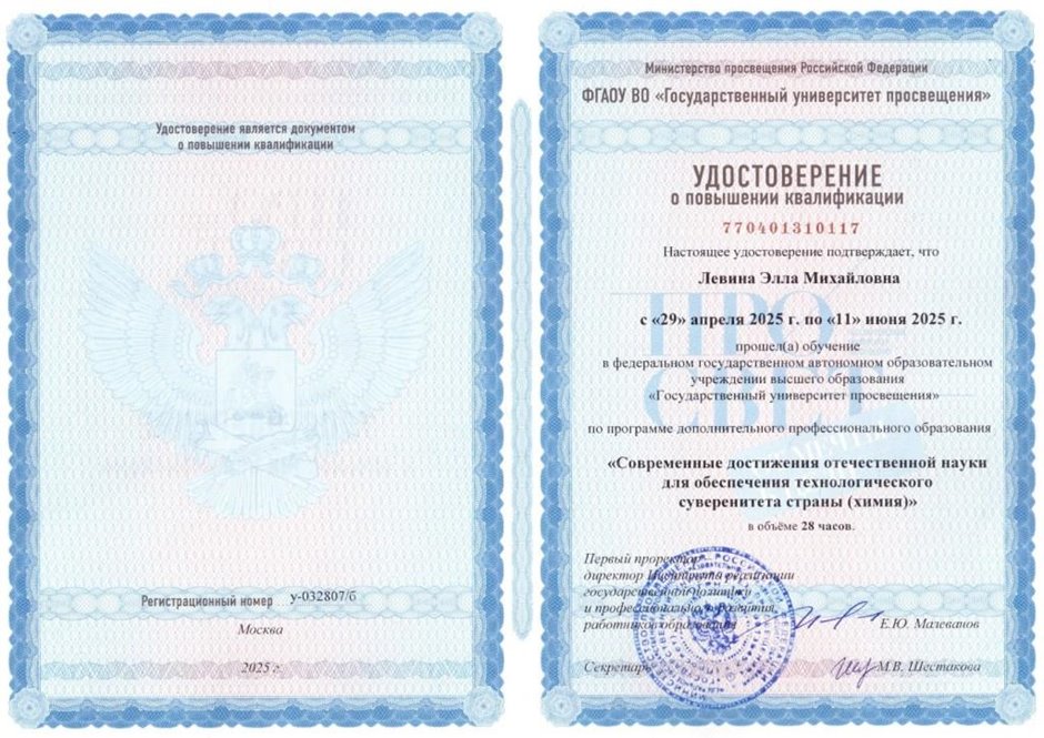 Левина Элла Михайловна 2024-2025